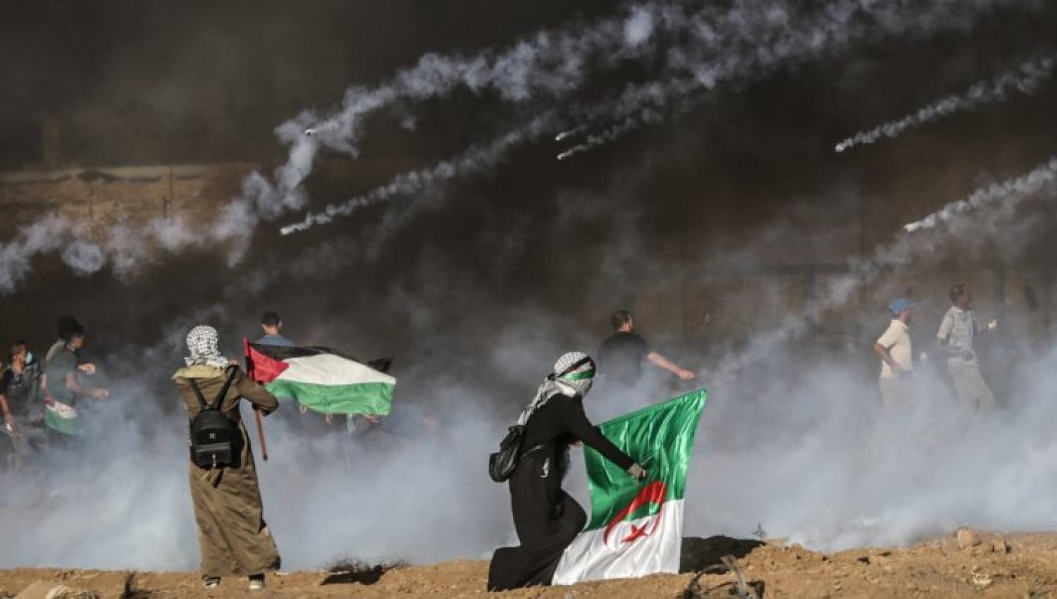 استقلال وتحرّر الجزائر نموذج لتحرير فلسطين