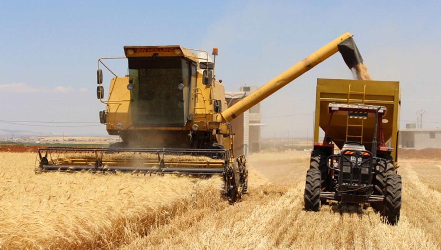 الجهاد الزراعي ينتصر في سوريا