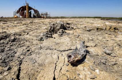 العراق يعاني من الجفاف والسبب الأبرز: تركيا!!
