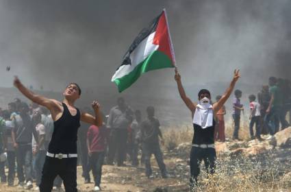 هآرتس: الشعب الفلسطيني هو الأعجوبة الثامنة في العالم