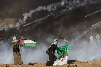 استقلال وتحرّر الجزائر نموذج لتحرير فلسطين
